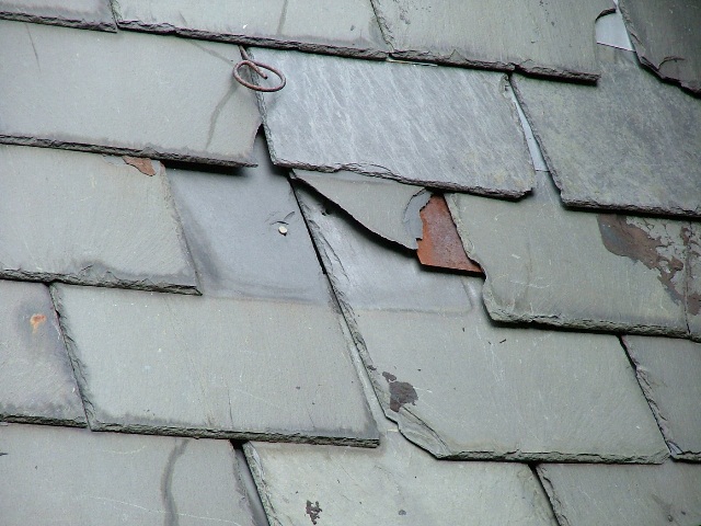 DSCF1075